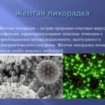 ИСПАНИЯ БУДЕТ ПРИНУДИТЕЛЬНО РАСПРЕДЕЛЯТЬ УКРАИНСКИХ БЕЖЕНЦЕВ ПО СТРАНЕ